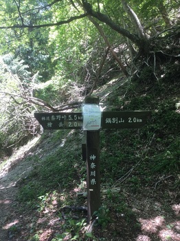 丹沢登山道11.JPG