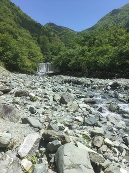 丹沢登山道4.JPG