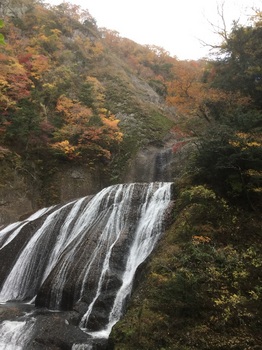 袋田の滝.jpg